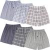 Assorted Plaid B (6 Pack)
