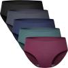 imageBAMBOO COOL Womens Underwear Breathable Mesh MoistureWicking Briefs Soft ampamp Lightweight PantiesMulticolor F5pack
